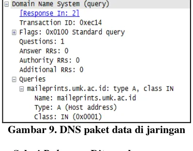 Gambar 9. DNS paket data di jaringan 