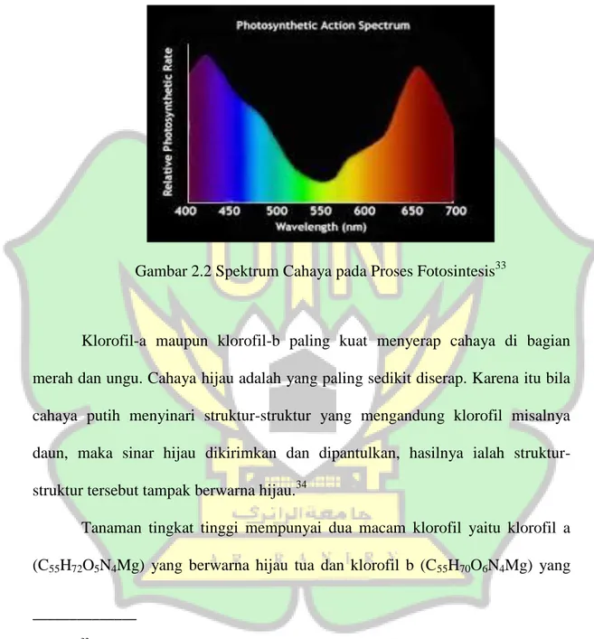 Gambar 2.2 Spektrum Cahaya pada Proses Fotosintesis 33
