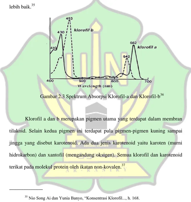 Gambar 2.3 Spektrum Absorpsi Klorofil-a dan Klorofil-b 36
