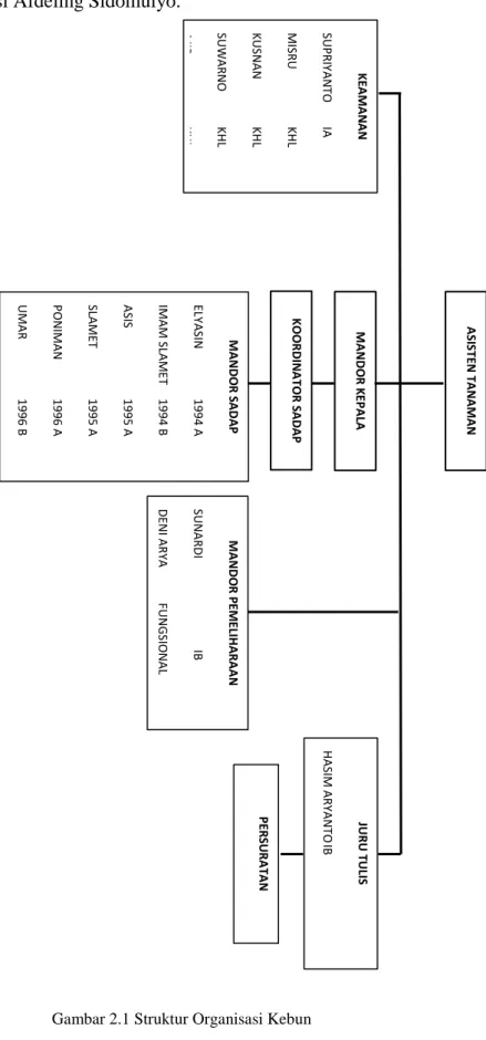 Gambar 2.1 Struktur Organisasi Kebun 
