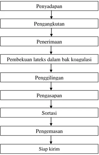 Gambar 3.1 Diagram Alur Proses Produksi Karet di PT. Perkebunan Nusantara XII Kebun  Renteng