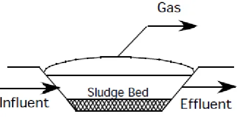 Gambar 3. Digester CoLAR 