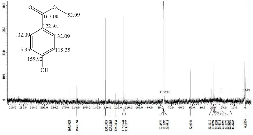 Figure 2.  The 13C NMR spectrum of fraction-B53 