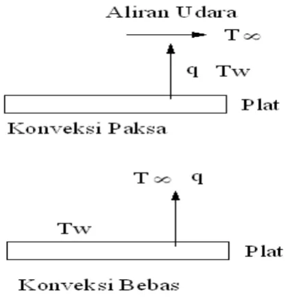 Gambar 2.5 Perpindahan Panas Konveksi 