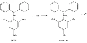 Gambar 1 Reaksi Peredaman Radikal DPPH oleh Senyawa Antioksidan 