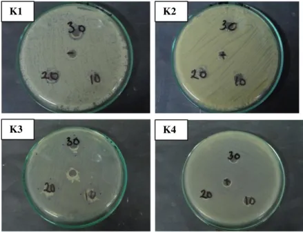 Gambar   2. Uji Sensitivitas Terhadap Merkuri dengan Cup-Plate Technique  Hasil  uji  sensitivitas  terhadap  merkuri  yang 