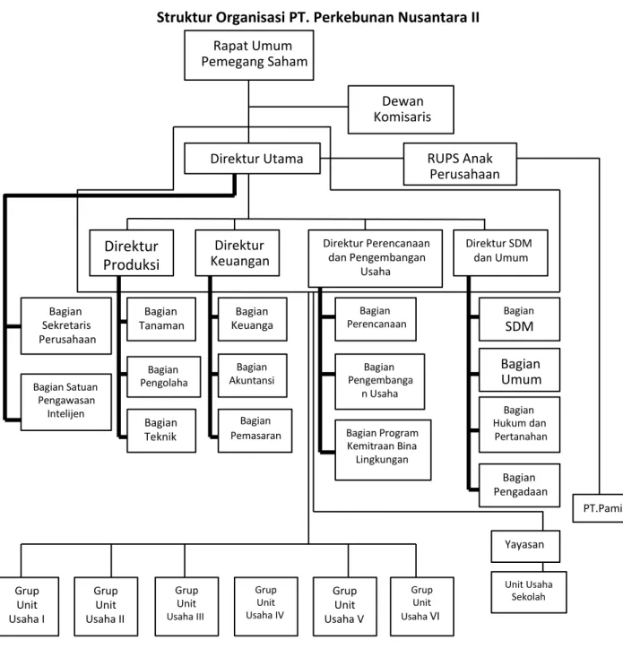 Gambar 2.1  Struktur Organisasi PT. Perkebunan Nusantara II  Keterangan:  Garis Komando  Garis Staffing  Garis Koordinasi  Direktur Perencanaan dan Pengembangan Usaha          Rapat Umum Pemegang Saham     Dewan  Komisaris   