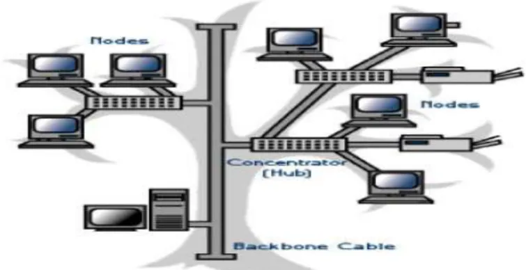 Gambar 2.10 Topologi Hierarchical Tree 