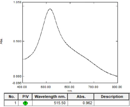 Gambar 4.1 Kurva absorbansi maksimum larutan DPPH menggunakan  spektrofotometer sinar tampak 