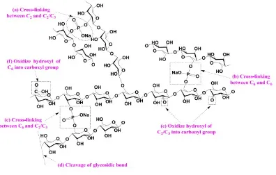 Gambar 6. Struktur pati teroksidasi ikatan silang