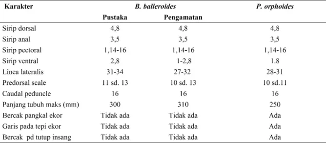 Tabel 3. Hasil pengamatan meristik dan morfologi ikan brek Sungai Serayu