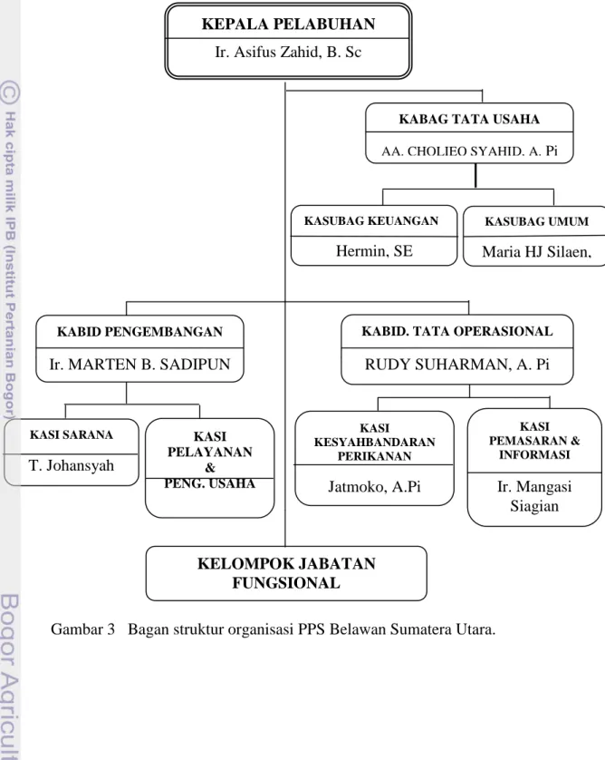 Gambar 3   Bagan struktur organisasi PPS Belawan Sumatera Utara. 