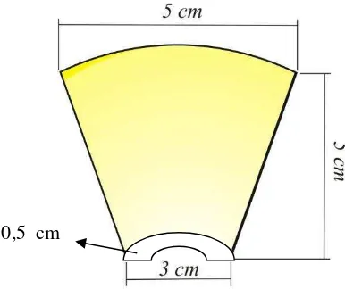 Gambar 1.  Dimensi chip nanas basah. 