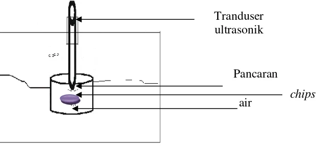 Gambar 2.  Gambar chips dalam  ultrasonik. 