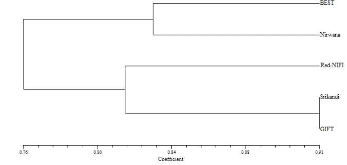Gambar 9 Dendogram analisis cluster jarak genetik (UPGMA) data RAPD 