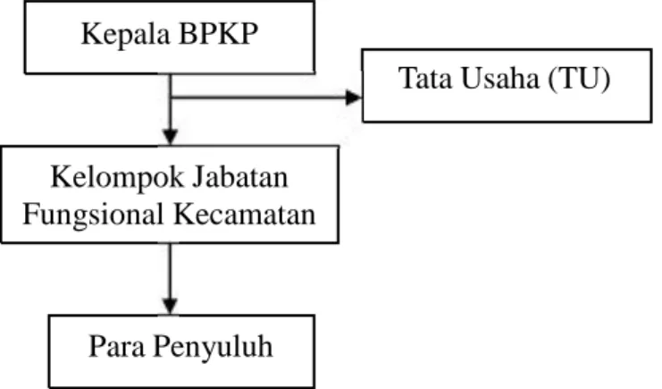 Gambar 6. Struktur Organisasi Balai Penyuluhan dan Ketahanan Pangan(BPKP)