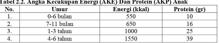 Tabel 2.2. Angka Kecukupan Energi (AKE) Dan Protein (AKP) Anak 