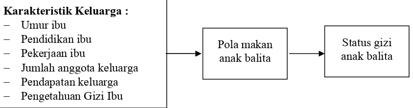 Gambar 1. Kerangka Konsep Penelitian  