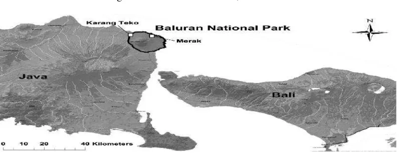 Figure 1. Location of Baluran National Park (BNP) on the North-Eastern tip of Java Island, Indonesia