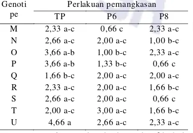 Tabel 6 Jumlah Anakan TanamanA cinadalam (batang)
