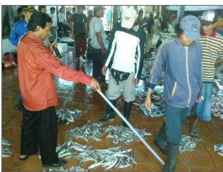 Gambar 7  Proses pelelangan ikan di TPI. 