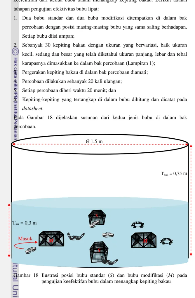 Gambar  18  Ilustrasi  posisi  bubu  standar  (S)  dan  bubu  modifikasi  (M)  pada  pengujian keefektifan bubu dalam menangkap kepiting bakau 