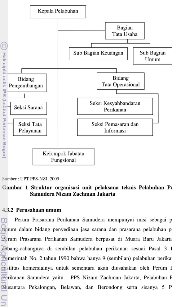 Gambar 1 Struktur organisasi unit pelaksana teknis Pelabuhan Perikanan   Samudera Nizam Zachman Jakarta 