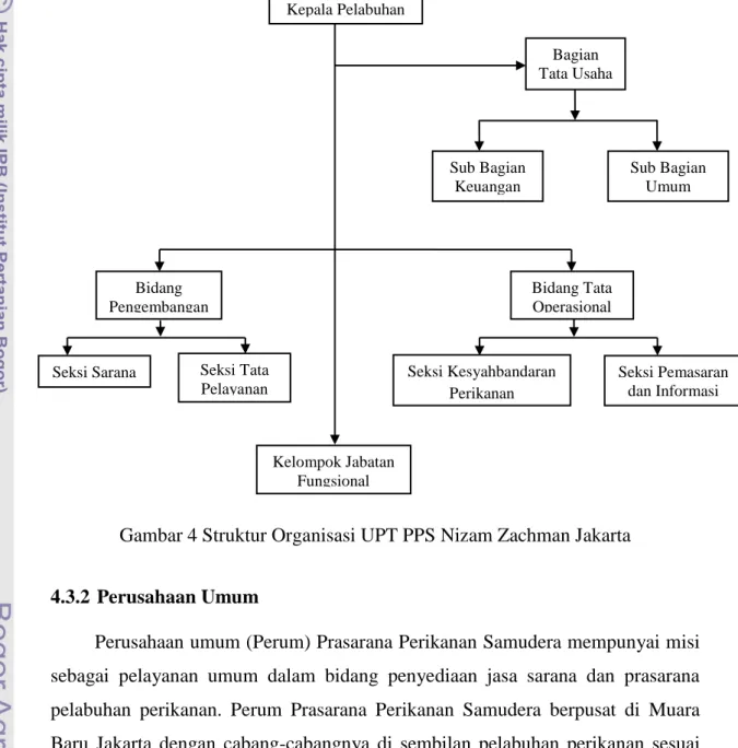 Gambar 4 Struktur Organisasi UPT PPS Nizam Zachman Jakarta 