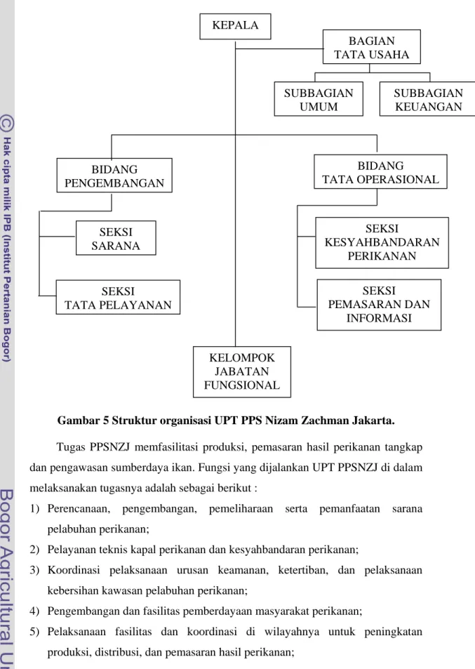 Gambar 5 Struktur organisasi UPT PPS Nizam Zachman Jakarta. 