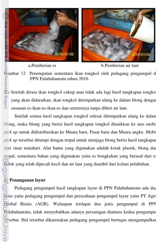 Gambar  12    Penempatan  sementara  ikan  tongkol  oleh  pedagang  pengumpul  di  PPN Palabuhanratu tahun 2010