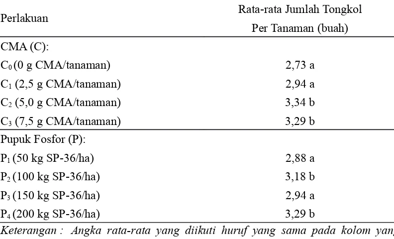 Tabel  8.  Pengaruh  Cendawan  Mikoriza  Arbuskula  (CMA)  dan  Pupuk  FosforTerhadap Rata-rata Jumlah Tongkol Per Tanaman (buah)
