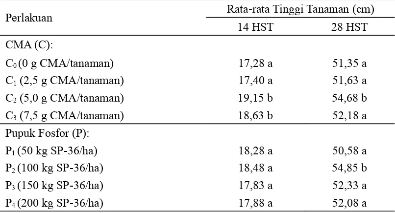 Tabel  1.  Pengaruh  Cendawan  Mikoriza  Arbuskula  (CMA)  dan  Pupuk  FosforTerhadap Tinggi Tanaman Umur 14 dan 28 HST (cm)