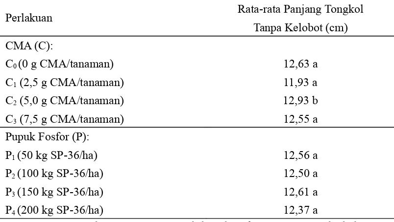 Tabel  6.  Pengaruh  Cendawan  Mikoriza  Arbuskula  (CMA)  dan  Pupuk  FosforTerhadap Rata-rata Panjang Tongkol Tanpa Kelobot (cm)