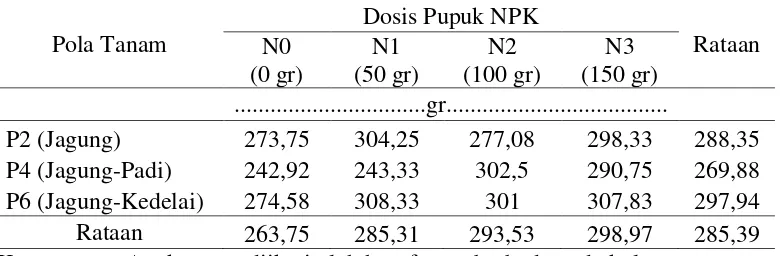 Tabel 5. Bobot tongkol jagung pada sistem tumpang sari dan pemberian pupuk                 NPK 