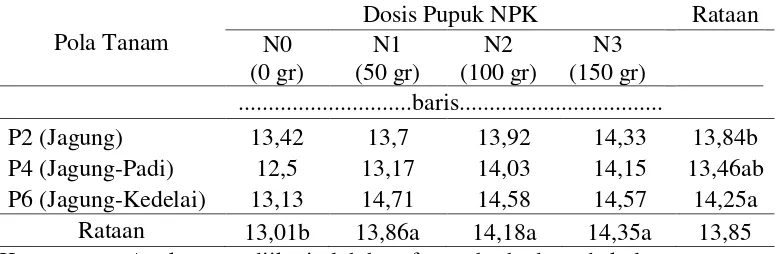 Tabel 7. Jumlah baris per tongkol jagung pada sistem tumpang sari dan pemberian                pupuk NPK 
