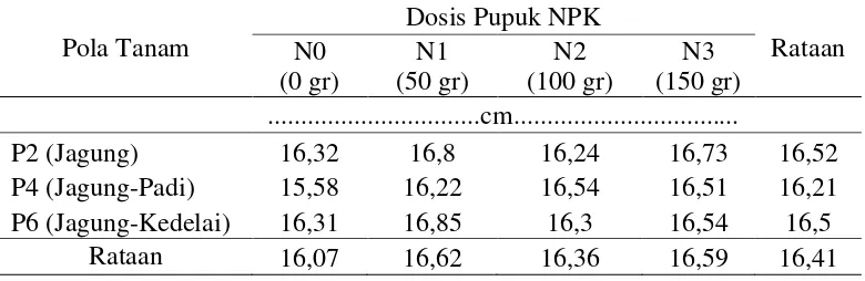 Tabel 8. Panjang tongkol jagung pada sistem tumpang sari dan pemberian pupuk                 NPK 
