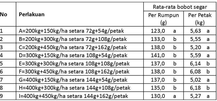 Tabel 4, Pengaruh Kombinasi Takaran Pupuk Urea dan SP-36 Terhadap Bobot Segarper Rumpun dan Bobot Segar per Petak 60 HST,