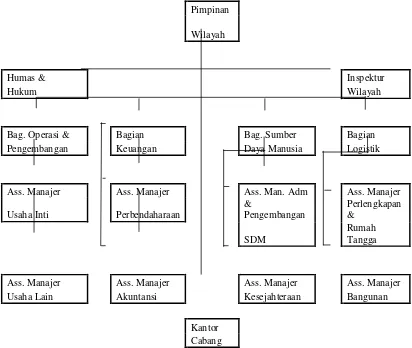 Gambar. 2.2 Struktur Organisasi Perum Pegadaian Medan 