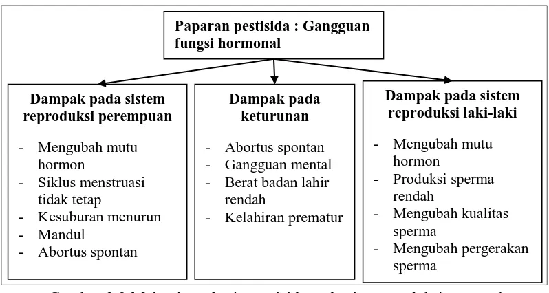 Gambar 2.3 Mekanisme kerja pestisida pada sistem endokrin manusia (Sumber : Caporossi dan Papaleo, 2010:39) 
