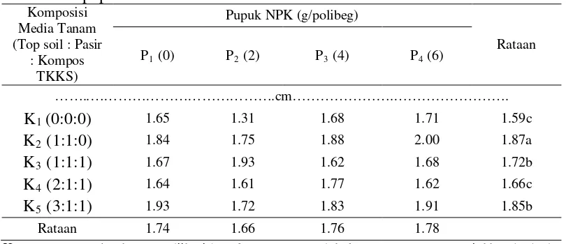 Tabel 8. Ratio tajuk  akar pada perlakuan komposisi media tanam dan  dosis pupuk NPK 