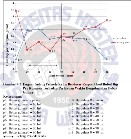 Gambar 4.2. Dugaan Selang Periode Kritis Berdasar Respon Hasil Bobot Biji 