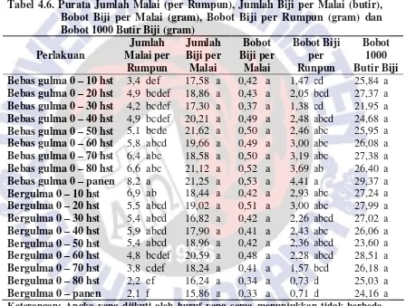 Tabel 4.6. Purata Jumlah Malai (per Rumpun), Jumlah Biji per Malai (butir),  