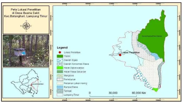 Gambar 2. Peta lokasi penelitian di Dusun Sidomukti Desa Buana Sakti                              Kecamatan Batanghari Kabupaten Lampung Timur Propinsi                           Lampung