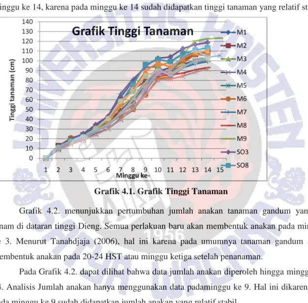 Grafik 4.1. Grafik Tinggi Tanaman