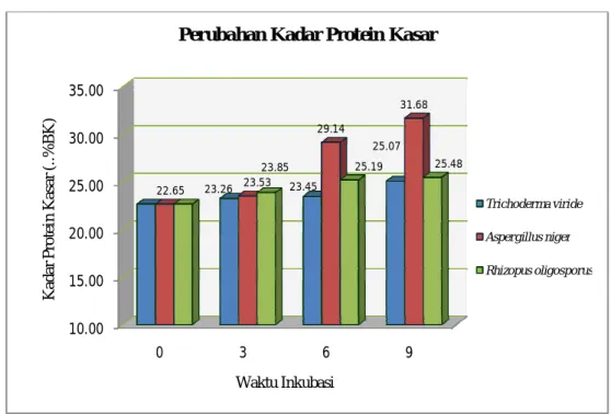 Gambar 11.  Peningkatan Kadar Protein Kasar Hasil Fermentasi pada Kultur Tunggal 