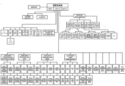 Gambar 1.1 Struktur Organisasi FKIP Unsri 