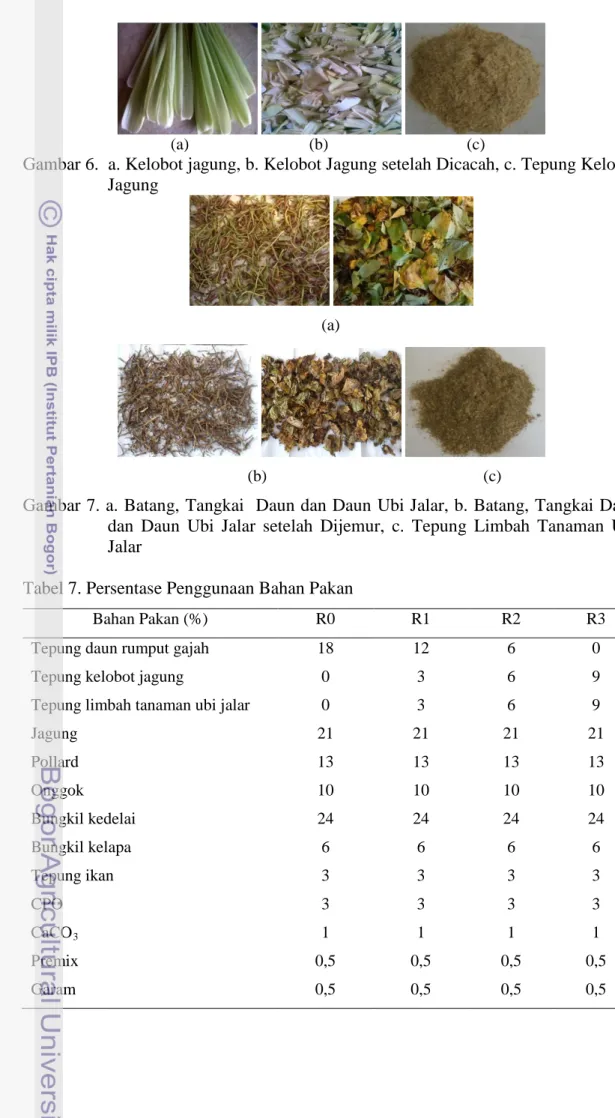 Gambar 6.  a. Kelobot jagung, b. Kelobot Jagung setelah Dicacah, c. Tepung Kelobot  Jagung 