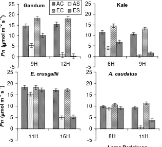 Figure 3.  Net photosynthetic rate tinggi stress) (Ph) of wheat, kale, E. crusgalii and A
