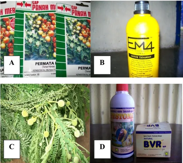 Gambar 2. Bahan yang digunakan dalam penelitian yang meliputi benih tomat varietas permata (A), Larutan EM4 untuk pembuatan kompos (B), Daun lamtoro untuk bahan kompos lamtoro (C), dan biopestisida Pestona dan pestisida biologi BVR (D).