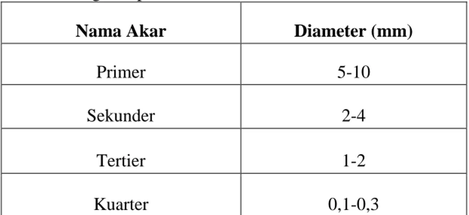 Tabel 1. Pengelompokan Akar Berdasarkan Diameter. 